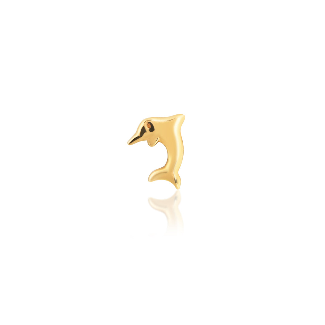 Dolphin Tooth Charm
